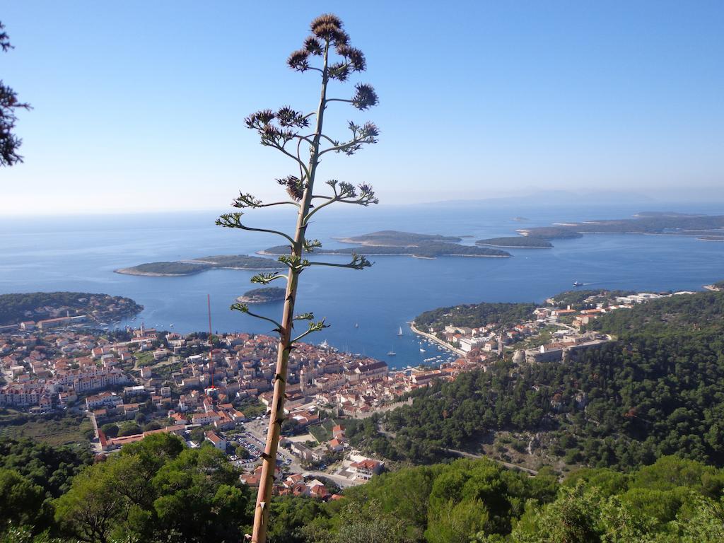 Ana Tudor Apartments Hvar Town Exteriér fotografie